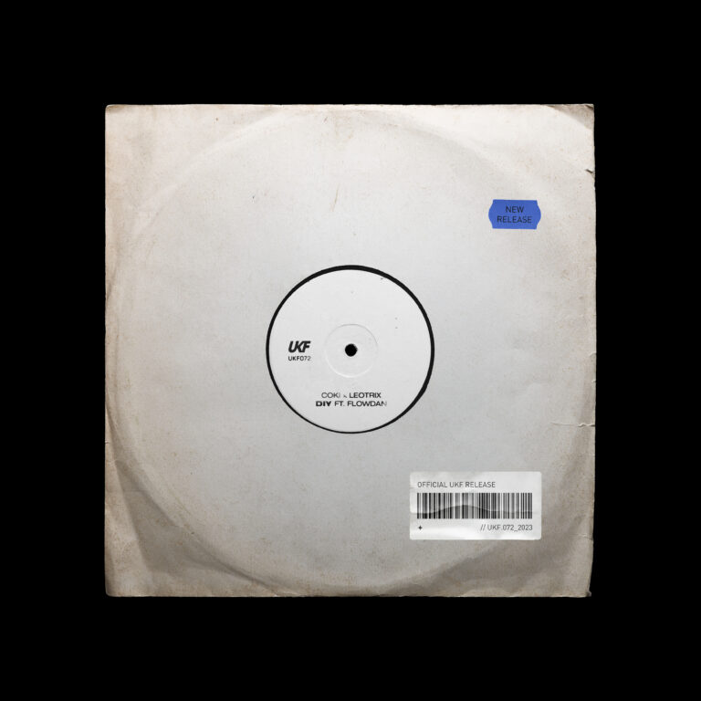 Coki, Leotrix - DIY (ft. Flowdan) vinyl sleeve image