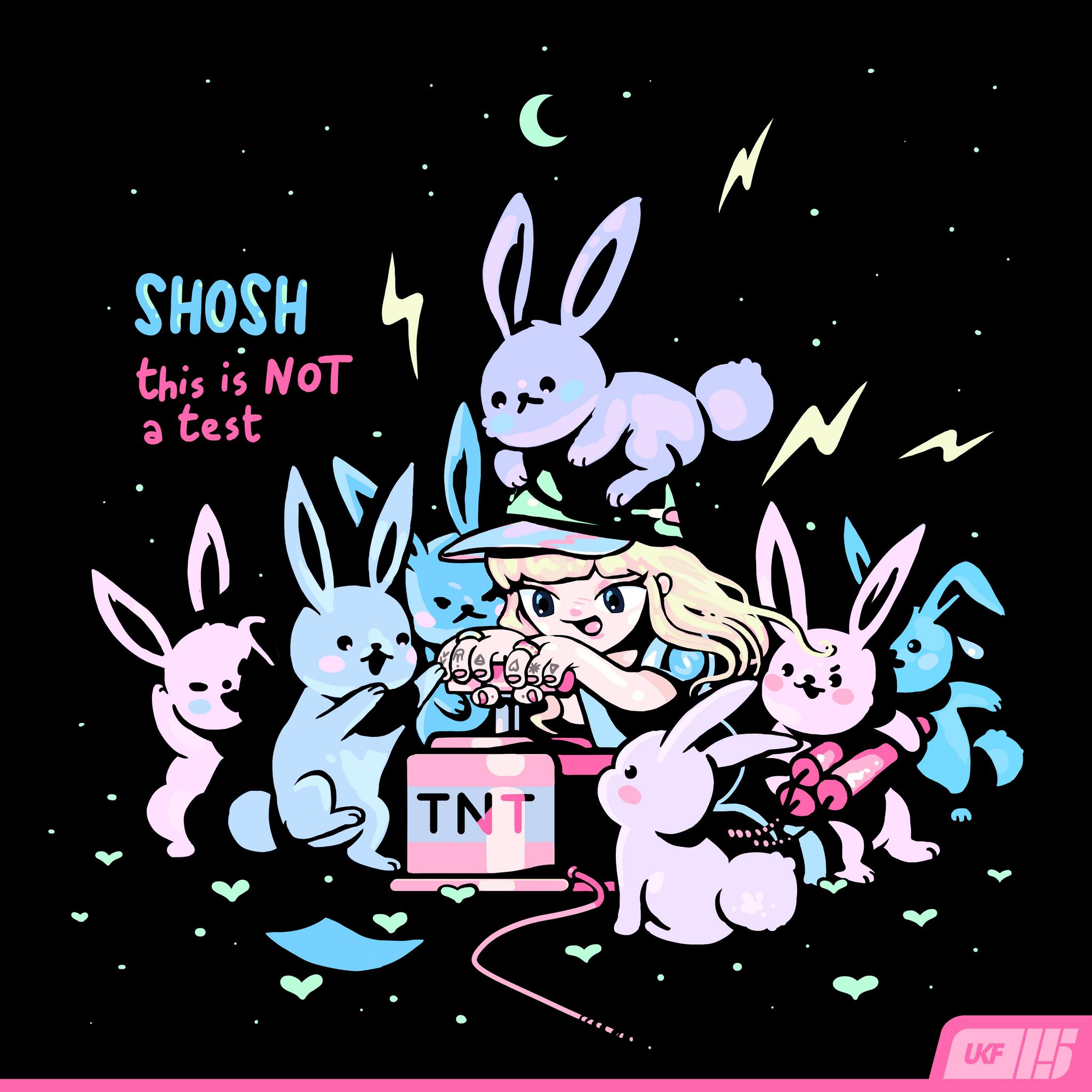 SHOSH-ThisIsNotATestArtwork.jpg