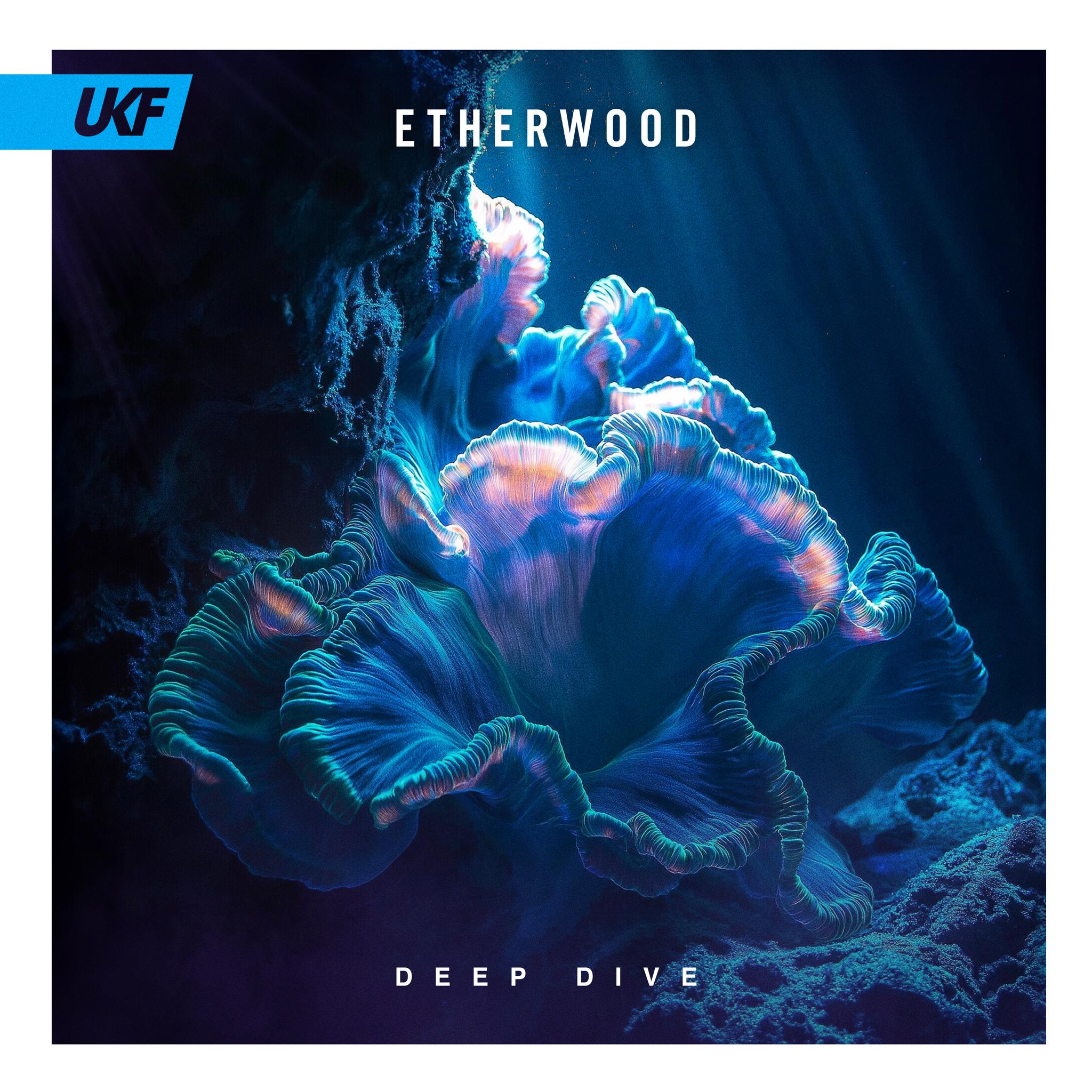 ETHERWOOD_DEEP_DIVE.jpg