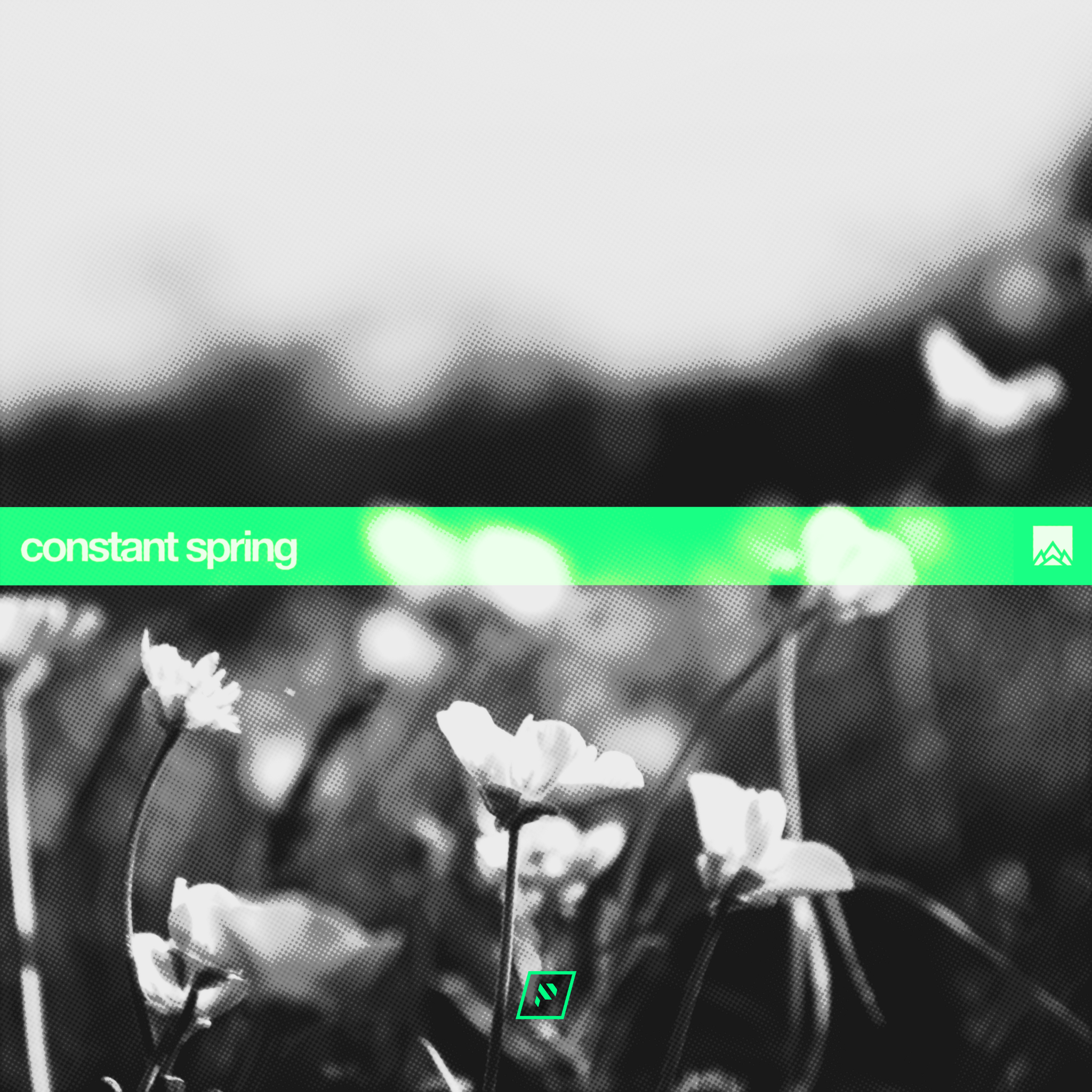 ConstantSpring.png